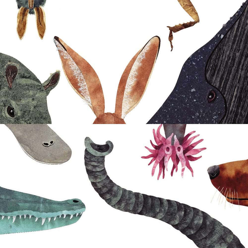 کتاب با دمی شبیه این چه کار می‌کنی؟ نویسنده و تصویرگر: استیو جنکینز و رابین پیچ