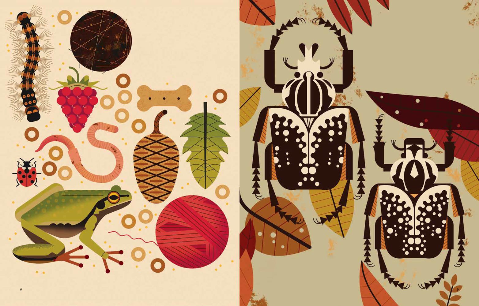 تصاویر کتاب کودک دنیای رنگارنگ سوسک ها، تصویرگر: اون دیوی