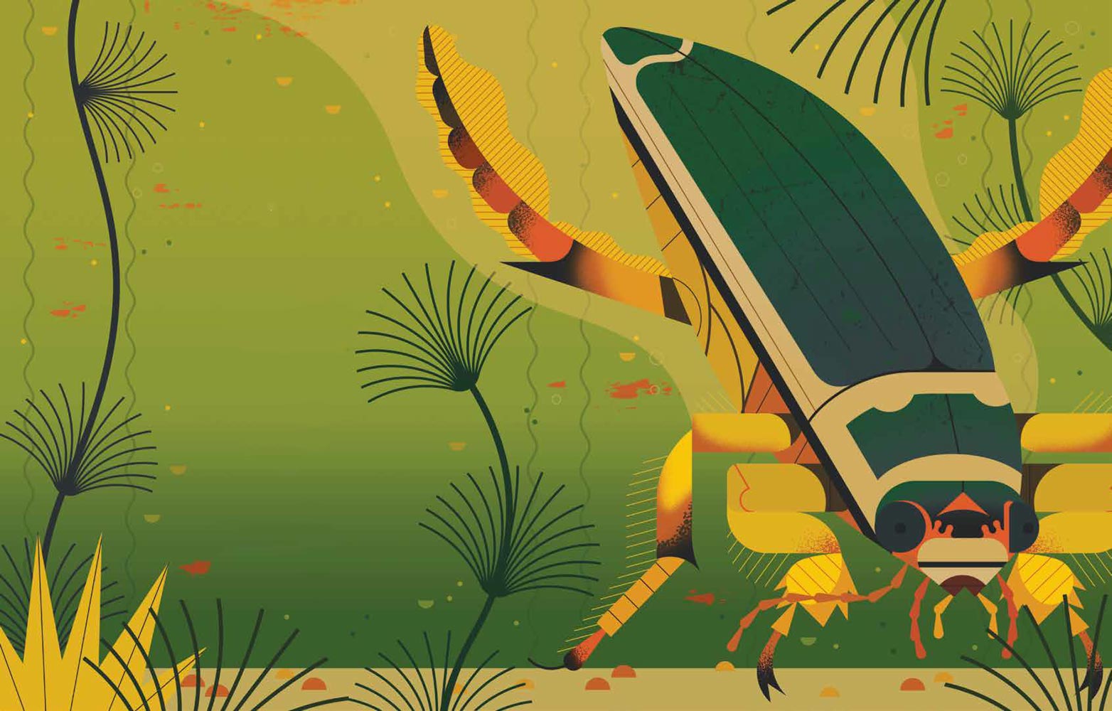 تصاویر کتاب کودک دنیای رنگارنگ سوسک ها، تصویرگر: اون دیوی