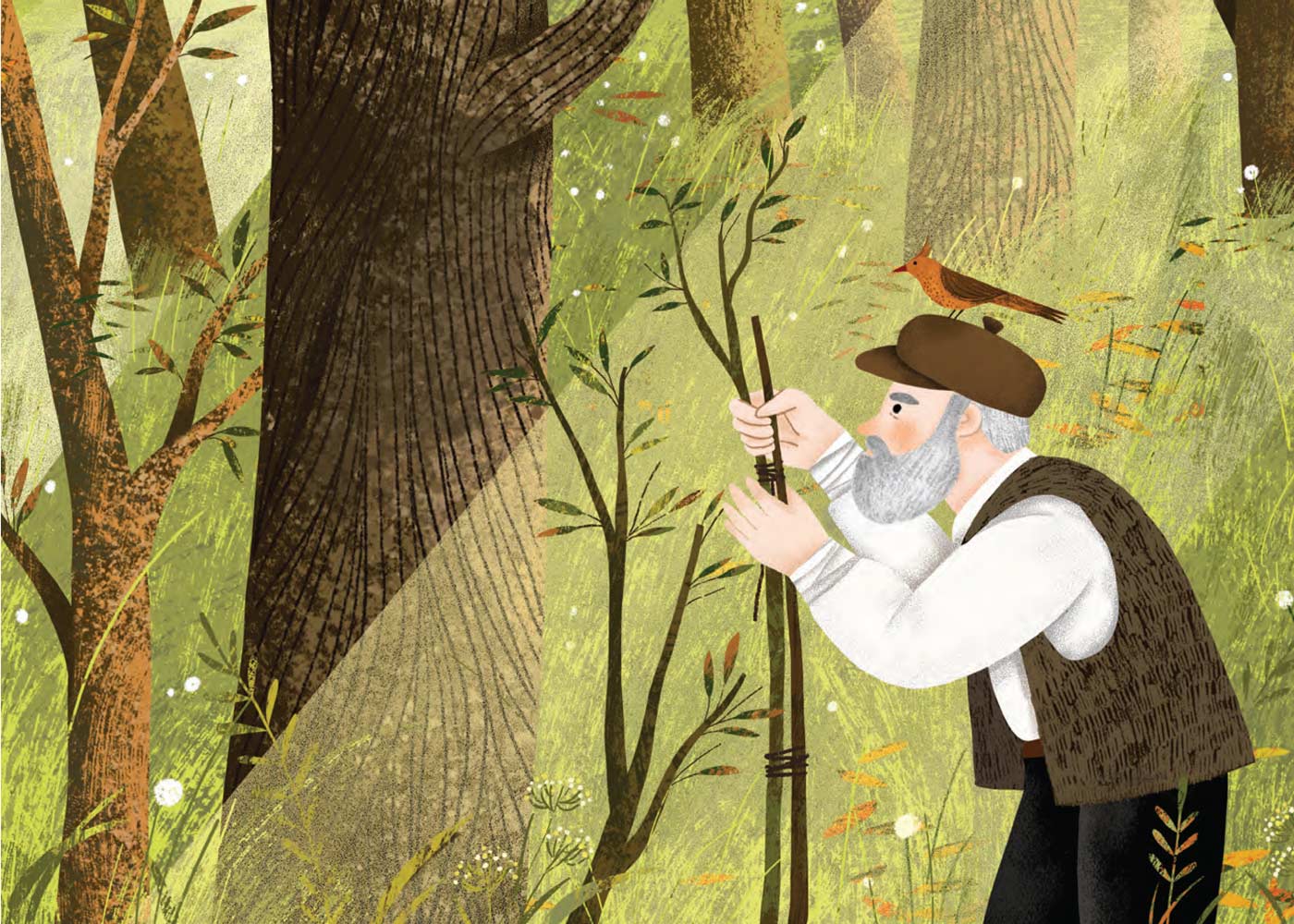 تصاویر کتاب سیاگالش نگهبان جنگل، تصویرگر: پروین حیدری&zwnj;زاده