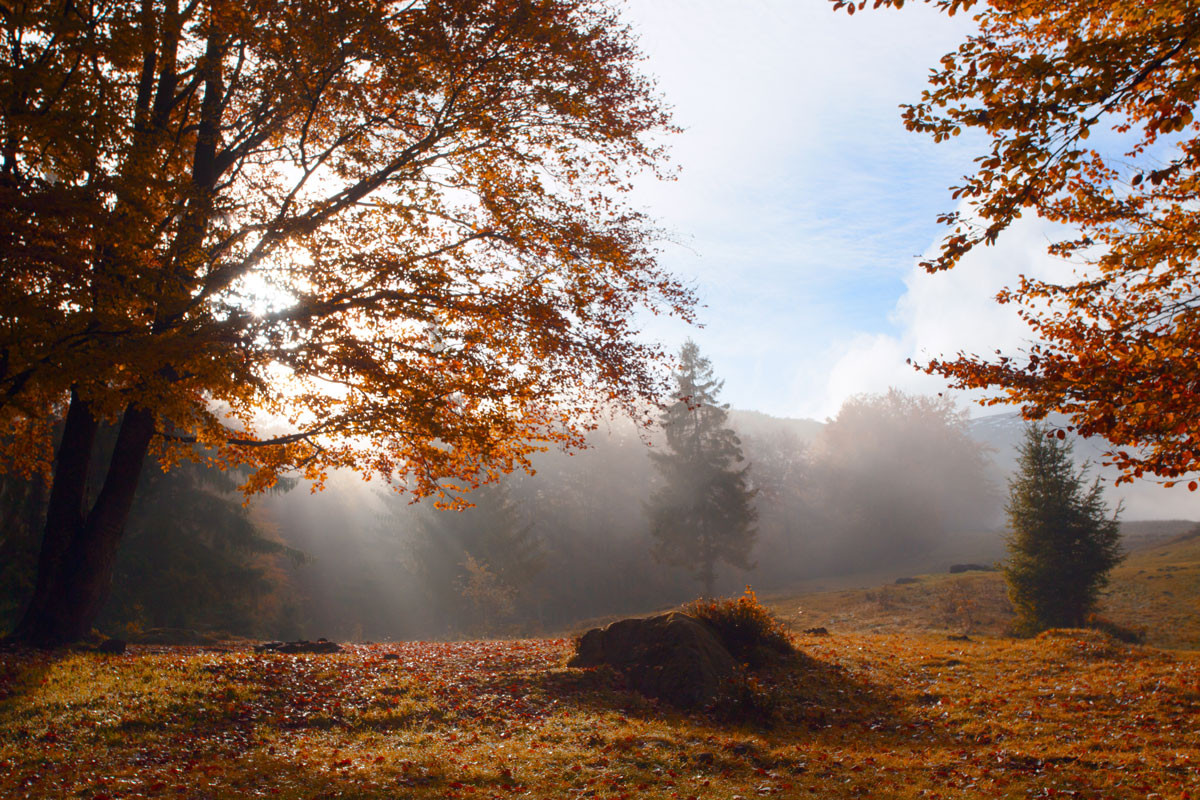 نجواهای شبانه