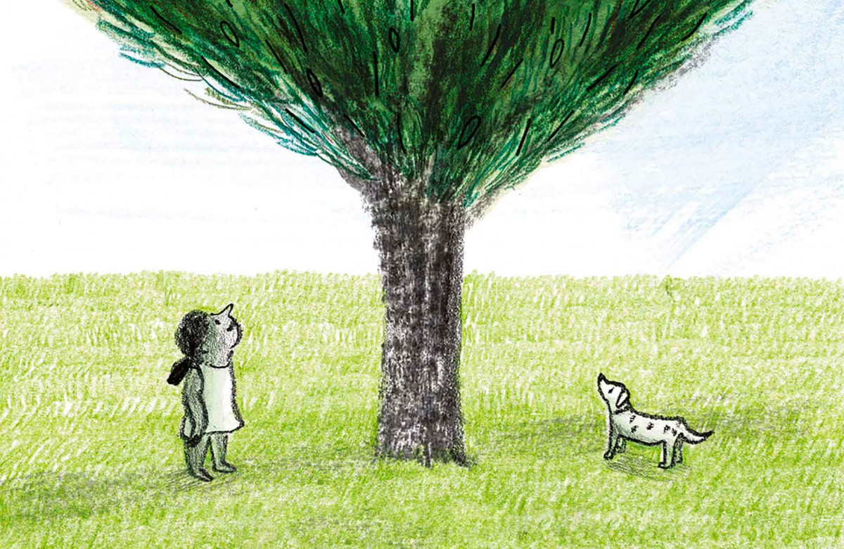 عکس روی جلد کتاب آخرین درخت از امیلی هاورث بوث