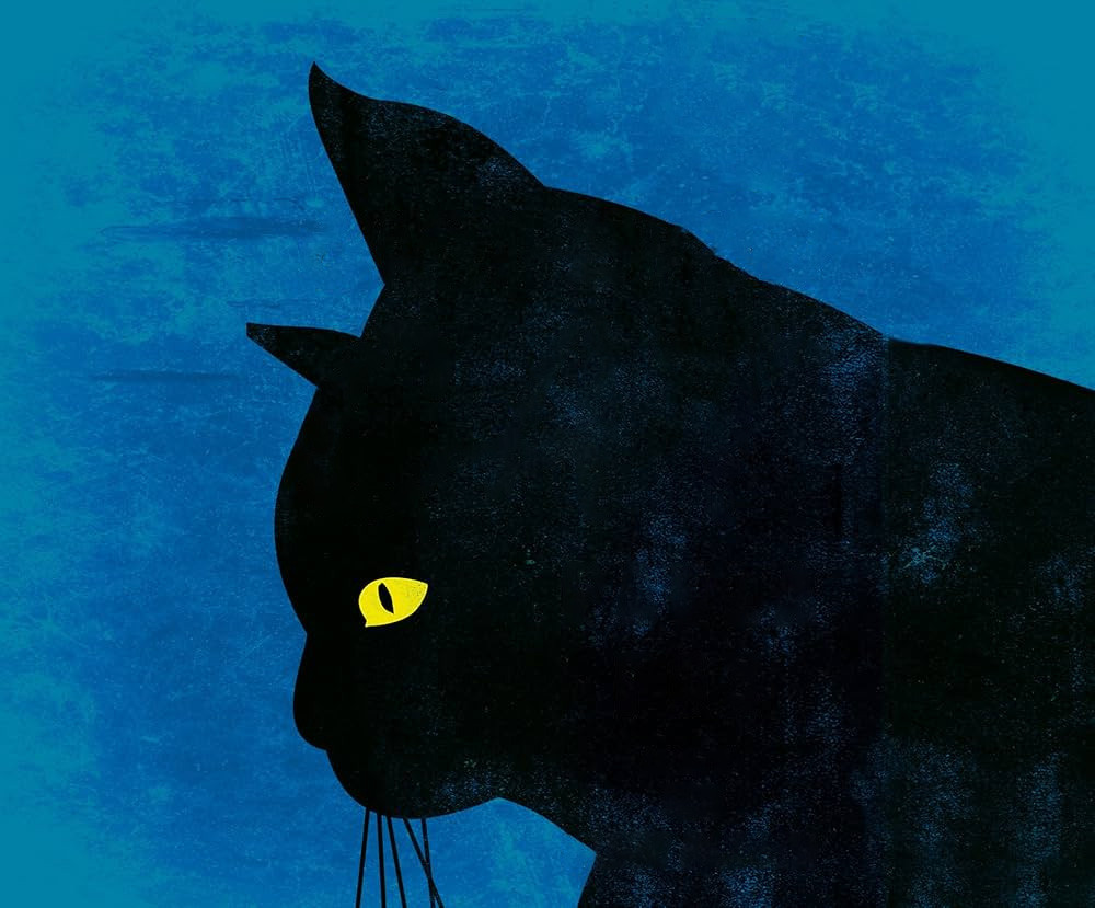 وقتی که زندگی ند والیس عوض شد!