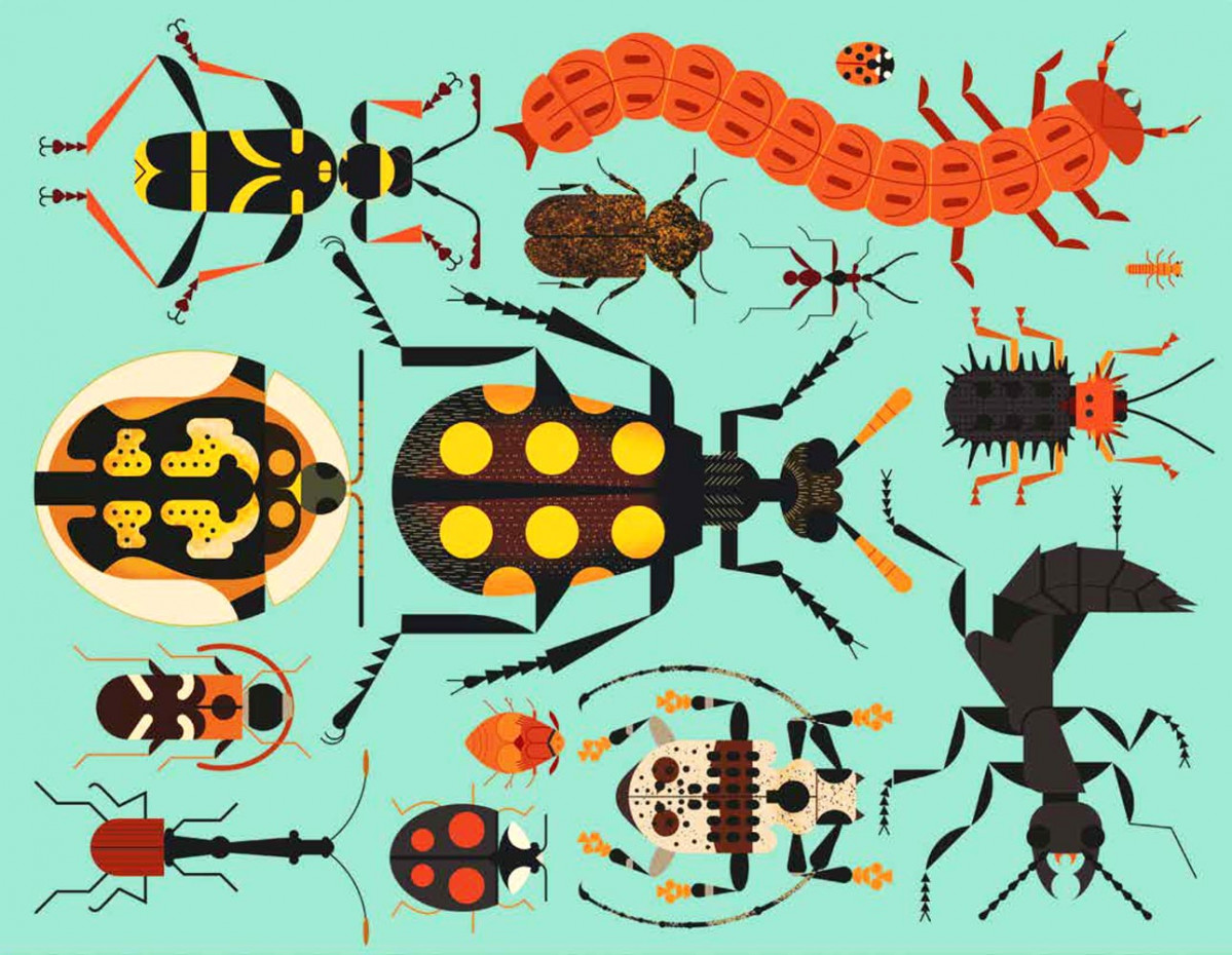 دنیای رنگارنگ سوسک&zwnj;ها