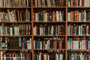 کتاب هایی برای پیدا کردن احساس بهتر نسبت به جهان اطراف