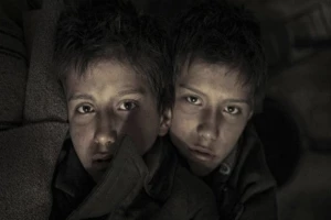 سه گانه دوقلوها