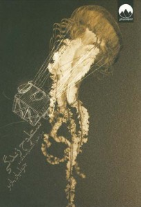 سطوح زندگی