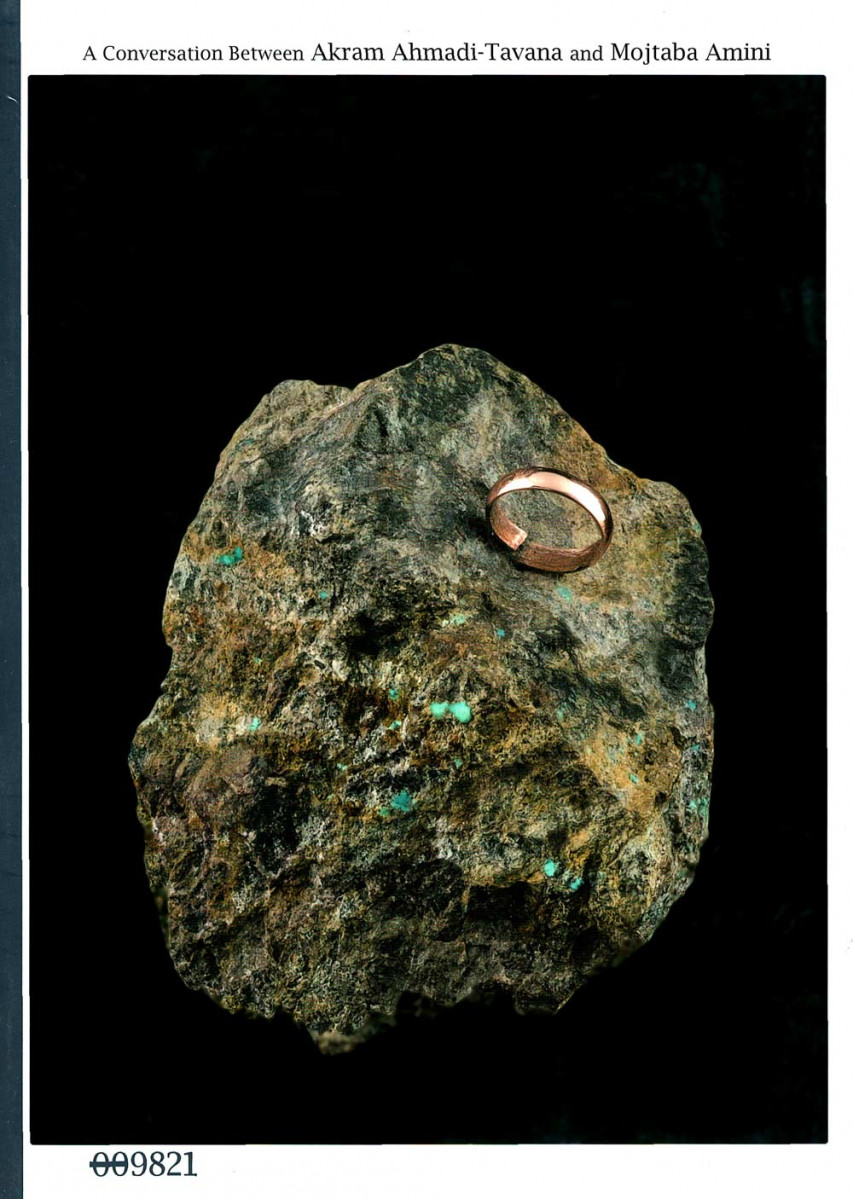 شد آن چه شد: درباره مجتبی امینی