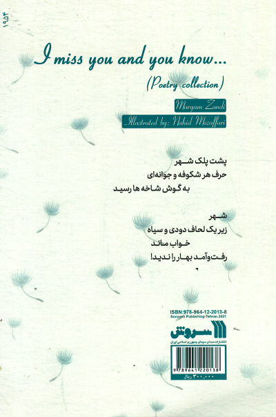 پشت جلد کتاب دلتنگم و می دانی...