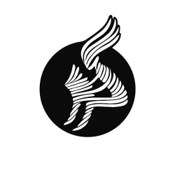 ادامه