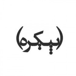 پیکره